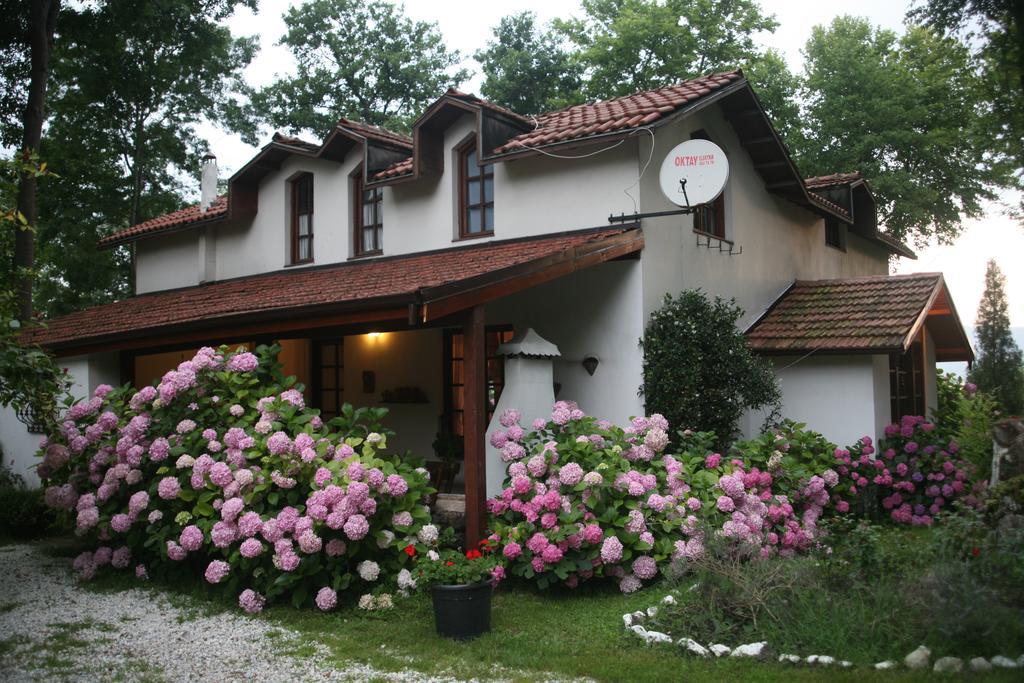 Beta Home Сапанча Номер фото