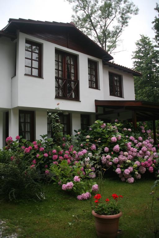 Beta Home Сапанча Номер фото